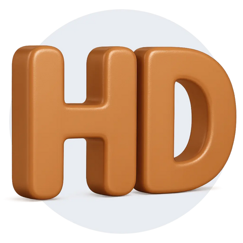 HD Dash Cams